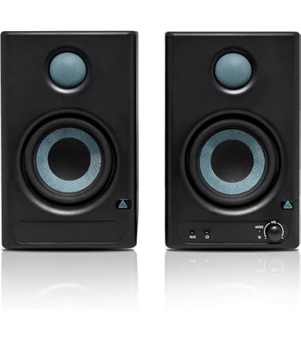 Tannoy Reveal 502 Studio Monitor : Amazon.in: Musical Instruments