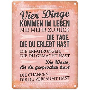 Blechschild 'Welt Ist EIN Irrenhaus' – 20x30 Cm, Metall Wanddeko, Made In Germany