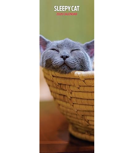Grumpy Cat Kalender 2025 kaufen? Einfach und schnell online bestellt