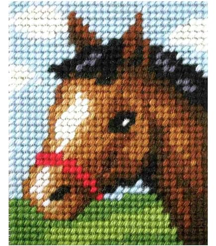 Kit De Point De Croix Hobby Cheval - Taille Unique - Pour Broderie Et Loisirs Créatifs
