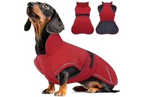 Hjyokuso Płaszcz dla Psa, Jamnik, Wiatroszczelny, Wodoszczelny Zimowy z Ochroną Brzucha i Lnianym Otworem - Kurtka dla Dużych Psów