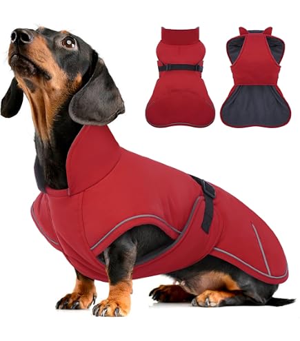 Wolters Outdoorjacke Modern Classic fr Dackel, Gre:46 cm, Farbe:braun :  Amazon.de: Haustier