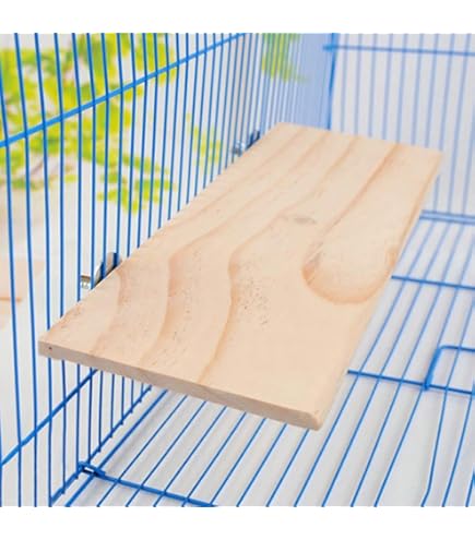 Pipano Sitzbrett 25x15 Cm Für Vögel - Schlafplatz Für Wellensittiche & Kanarienvögel