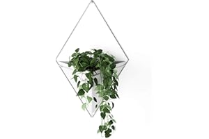 Umbra Trigg Hanging Planter Vase & Geometric Wall Decor Ceramic Container - Great For Succulent Plants, Air Plant, Mini Cactus, Faux Plants and More, Large, White/Nickel