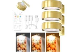 Winwj 3 Stück Bildbeleuchtung Kabellos, Aufladbar Bilderleuchte Kabellos mit Fernbedienung, Bild Licht mit 3 Lichtfarben, Dimmbar, Magnetisches LED Malerei Licht für Bilderrahmen, Wand, Regal, Bilder