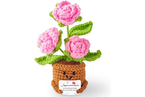 Cadeau Anniversaire Femme Personnalisé Cadeaux d'anniversaire Femme Original, Idee Motivation Positive Rose Au Crochet pour Amie Soeur Maman Fille Copine Collègue Ans 18 30 40 50 60 70