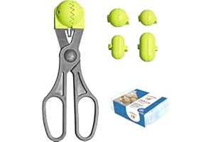 La Croquetera Pack- Utensilio Multiusos Color Pistacho - 4 moldes Intercambiables para masas + Pack 20 Bandejas conservación - 100% español : Patentado y Fabricado en España