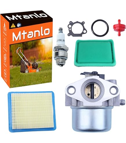 Carburateur Complet Pour Moteurs Briggs & Stratton Quantum - Compatible 494216 494217 | Inclut Joints