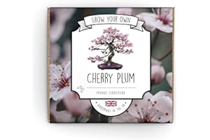 THE LOVELY STUFF COMPANY Grow Your Own Bonsai Tree Kit - Cherry Plum - Complete Beginner Starter Kit | Easy to Use Instructions | Handmade in UK | Gift for Any Ocassion | Gardening Gifts for Any Age | Crafts Hobby Kit