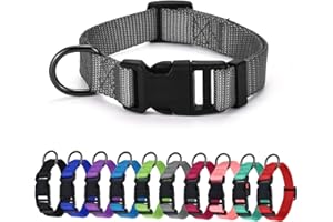 AUDWUD Dickes Nylonhalsband,klassisches verstellbares Hundehalsband in Mehreren Farben,geeignet für kleine,mittlere und große Hunde,4 Größen