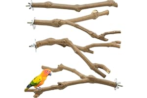 Allazone 4 PCS Natural Bird Perch & Swing Toys Grape Vine Stick for Parrot Cages, Cockatiels, Parakeets, Finches