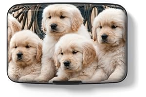 Hsxnam Etui na karty kredytowe z aluminium, etui na karty kredytowe z blokadą RFID, słodkie etui na wizytówki dla kobiet i mężczyzn na karty kredytowe dowód osobisty, Urocze psy, Nowoczesny