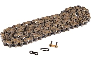 Regina Chain Rollenkette REGINA CHAIN, 110 Glieder