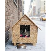 Reyo Kedi Evi Dış Ortam Uygun Ahşap Kedi Evi OSB 46x34x34 cm - CAT26