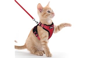 rabbitgoo Pettorina Gatto Antifuga con Guinzaglio, Guinzaglio per Gatti Regolabile, Pettorina Cane Taglia Piccola Riflettente, Imbracatura Gatto Adulto in Maglia Traspirante per Camminare, Rosso, XXS