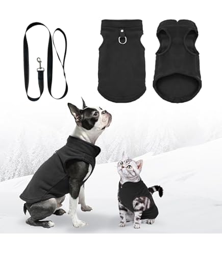 Izefia Hondenkleding Hondentrui Veiligheid Gedrukt Rdc Huisdier Hondenkleding Warm Sweatshirt Katoenen Jas voor Kleine Hond Medium Kat (Rood,XL