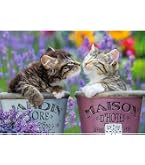 1000 Teile Premium-Puzzle Mit Süßen Katzen – Jedes Teil Einzigartig, Für Erwachsene & Familie
