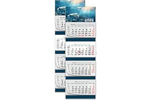 PRIMUS-PRINT.DE PRIMUS PRINT Calendario XXL 2025 – Multiblocco da parete – Calendario da 4 mesi – Calendario annuale a blocchi – con data cursore – incluse vacanze e vacanze – diversi motivi – [ 2 tartarughe ]