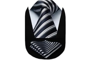 HISDERN Cravate Homme Mariage Cravate à Carreaux/Pied-de-poule et Mouchoir La Cravate des Hommes & Carre de poche Set