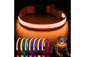 AOZOOM Light up Dog Collar, Rechargeable LED Dog Collar with 3 Glowing Modes, Adjustable Reflective Dog Collar for Small Medium Large Dogs(Orange, Medium)
