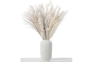 ‎APOMKJOE Pampasgras Deko, Trockenblumen Weiß, 80 Stück Natürliche Trockenblumen Deko, Flauschige Trockenblumenstrauß Dried Flowers für Hochzeit Blumen Arrangements Herbstdeko