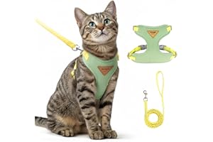 GÉNÉRIQUE Ensemble Harnais et Laisse Anti évasion pour Chat, Harnais Chat reglabl, Confortable, idéal pour Promener Le à l'extérieur, Convient aux Chatons, Chats Moyens et Grands (Vert, S)