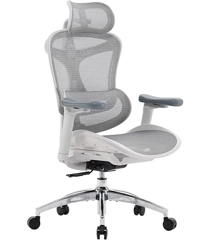 Hbada E3 Pro Silla de oficina ergonómica, silla de oficina grande y alta, con