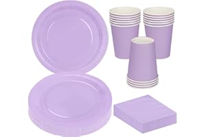 MestectPET 56 Pcs Purple Party Tableware Set, Paper Plates Cups and Napkins for 16 Guests, Dinnerware Set for Graduation Wedding Birthday Baby Shower Party Holiday Table Decorations Supplies