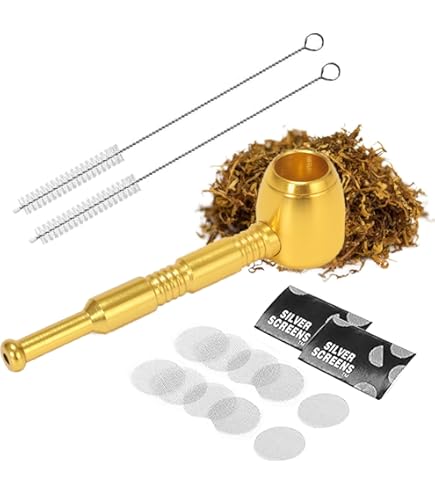 Cornice Quadrata Bellissima Con Diverse Piante. Schema Brillante Autunnale Autunno Colori Brillanti Mano Vettore Illustrazione Image226760032