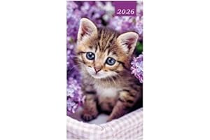 CARDS GALORE ONLINE 2026 Slim Pocket 2 Week To View Soft back Cat Diary - Purple Background Tabby Kitten