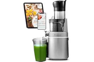 ‎AAOBOSI AOBOSI 200W Slow Juicer, Entsafter mit Rückwärts Funktion und zwei Filtergrößen. entsafter gemüse und obst testsieger, multifunktionale entsafter gemüse und obst mit Smart Chip. Obstpresse-Grau
