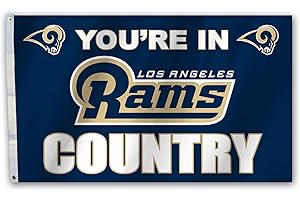 Fremont Die NFL Minnesota Vikings Flagge mit Ösen, 90 x 150 cm, Digi Camo