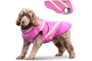 Lairle Dog Coat Waterproof Dog Coats Winter Dog Jacket Vest Clothes Reflective Adjustable Dog Coat with Built in Harness for Small Medium Large Dogs