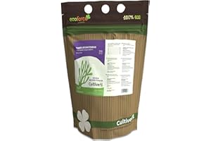 CULTIVERS Tierra de Diatomeas Molida 1 kg Ecológica Natural Certificada ECOCERT de Algas Fosilizadas Sedimentadas con Alta Pureza de Sílice Materia Prima Mineral Molienda.