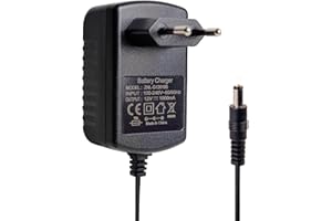 BNBBSC Cargador de coche eléctrico para niños, 12 V, 1 A, cargador para juguetes de conducción eléctrica, motocicleta, SUV, ATV, coche, una variedad de coches eléctricos