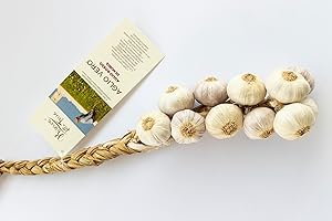 RISERVA DELLA TERRA Ajo Rojo de Nubia – Trenza Artesanal de 11 Bulbos – 100% Natural, Siciliano, Secado al Sol y Recolectado a Mano
