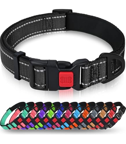 Nobby Hundehalsband Classic Preno M-L waldgrün kaufen | Globus Baumarkt