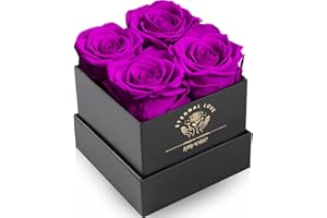 Impouo Rosenbox,Infinity Rosen,Konservierte Rose,Ewige Rose,Geburtstagsgeschenke FüR Frauen, Geschenke FüR Mutter/Freundin/Ehefrau/Oma, Geburtstag, Valentinstag,Ewige Blume