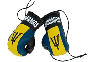 REPPA NIANWUDU Boxing Gloves - Barbados
