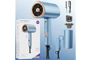 FLORAVENTO Foldable Ionic Hair Dryer 2000W Professional Blow Dryer with 2 Speed 3 Heat, Cool Shot, Diffuser & Concentrator, Styling Combs, for Men & Women, Blue