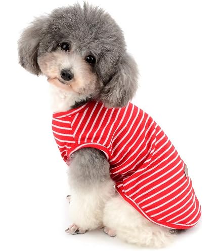 Niedliches Hunde-Strick-T-Shirt Mit D-Ring Für Kleine Hunde – Dehnbar, Weich, Perfekt Für Sommer (Rosa, Größe M)