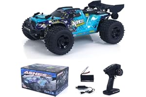 TOUCAN RC HOBBY 1:18 RC 4WD Offroad-Fahrzeug 24-Stunden-Versand 40+ km/h Geländegängiger Ferngesteuerter Truck Geeignet für 14 Jahre und älter Geburtstags