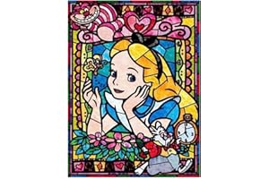 Jiaer Sentai DIY 5D Diamond Painting Set.Malen nach Zahlen Diamant.Diamant Painting Bilder Kinder.Geschenk für Erwachsene Kinder.Arts Craft Home Wand-Decor Kinderzimmer Wanddekoration（Aschenputtel）