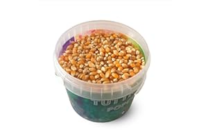 JNHCD Fun Food Italia Mais selezionato per popcorn in secchiello, 650g, Confezione da 1