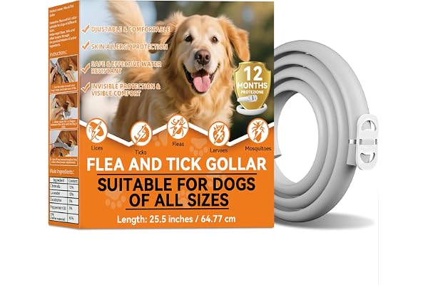Collier Anti puces pour Chien, Protection 8 Mois Contre Les puces, Les tiques et Les moustiques, Collier Anti-puces Ajustable et imperméable pour Chiens de Petite, Moyenne et Grande Taille,65cm