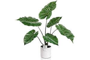 Leflos 68cm Planta Artificial Monstera Deliciosa para Interior, Alocasia Planta en Maceta Artificial, Pequeño árbol Tropical Artificial en Maceta Blanca