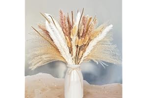 Erba Della Pampas,QXNDXQ 50 Pz Naturale Secca Pampas Erba,pampas grass per decorazioni boho in vaso di arrangiamento, casa, soggiorno, cucina o matrimonio