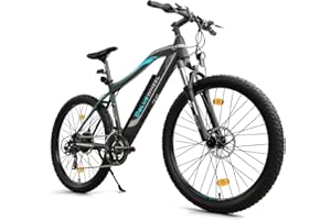 ‎BLUEWHEEL ELECTROMOBILITY BLUEWHEEL E-Bike I Elektrofahrrad Pedelec für Herren I StVZO I Deutsche Qualitätsmarke | EU-konform E-Fahrrad | 250 W Hinterradmotor für 25 km/h | Urban I Elektrofahrrad mit App