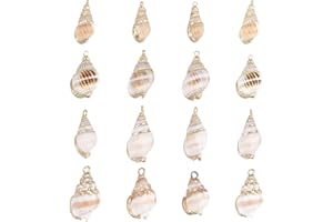 SUNNYCLUE 1 boîte de 10 coquillages de cauris blancs naturels de 2 styles pour fabrication de colliers, bracelets, boucles d'oreilles