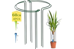 KAZITOO Pack of 4 Large 60 cm High Arch Plant Support Posts, 4 mm Thick Metal Garden Supports Green Semicircular Flower Tyres with 2 Self Watering Tips for Peonies, Hydrangeas, Monstera (60 x 30 cm)